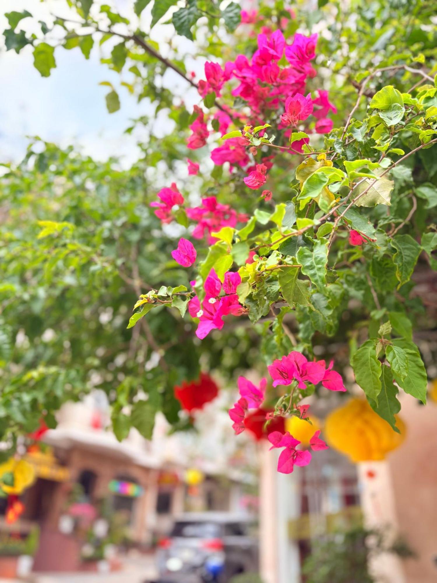 Khach San My Hang Đà Lạt Exterior foto